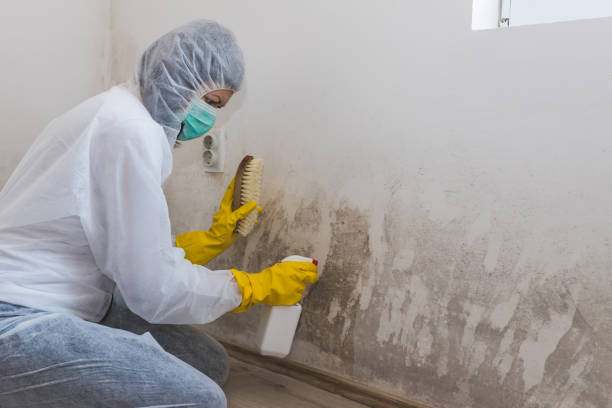 Forensic Mold Investigation in Oviedo, FL